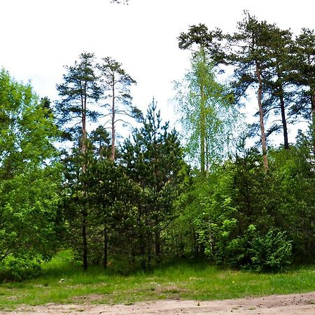 Maenniku Jk Vandrerhjem Tallinn Eksteriør bilde